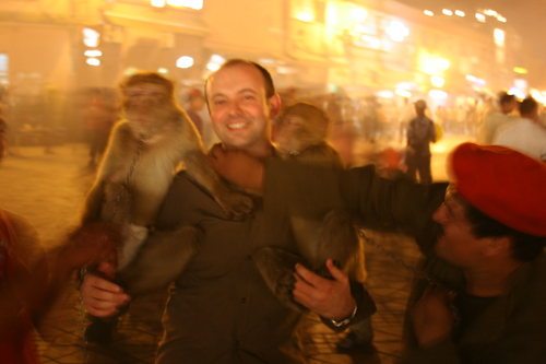 Andrew Robertson beseiged by monkeys Andrew Robertson beseiged by monkeys